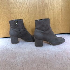 Gray Suedes Ankle Booties